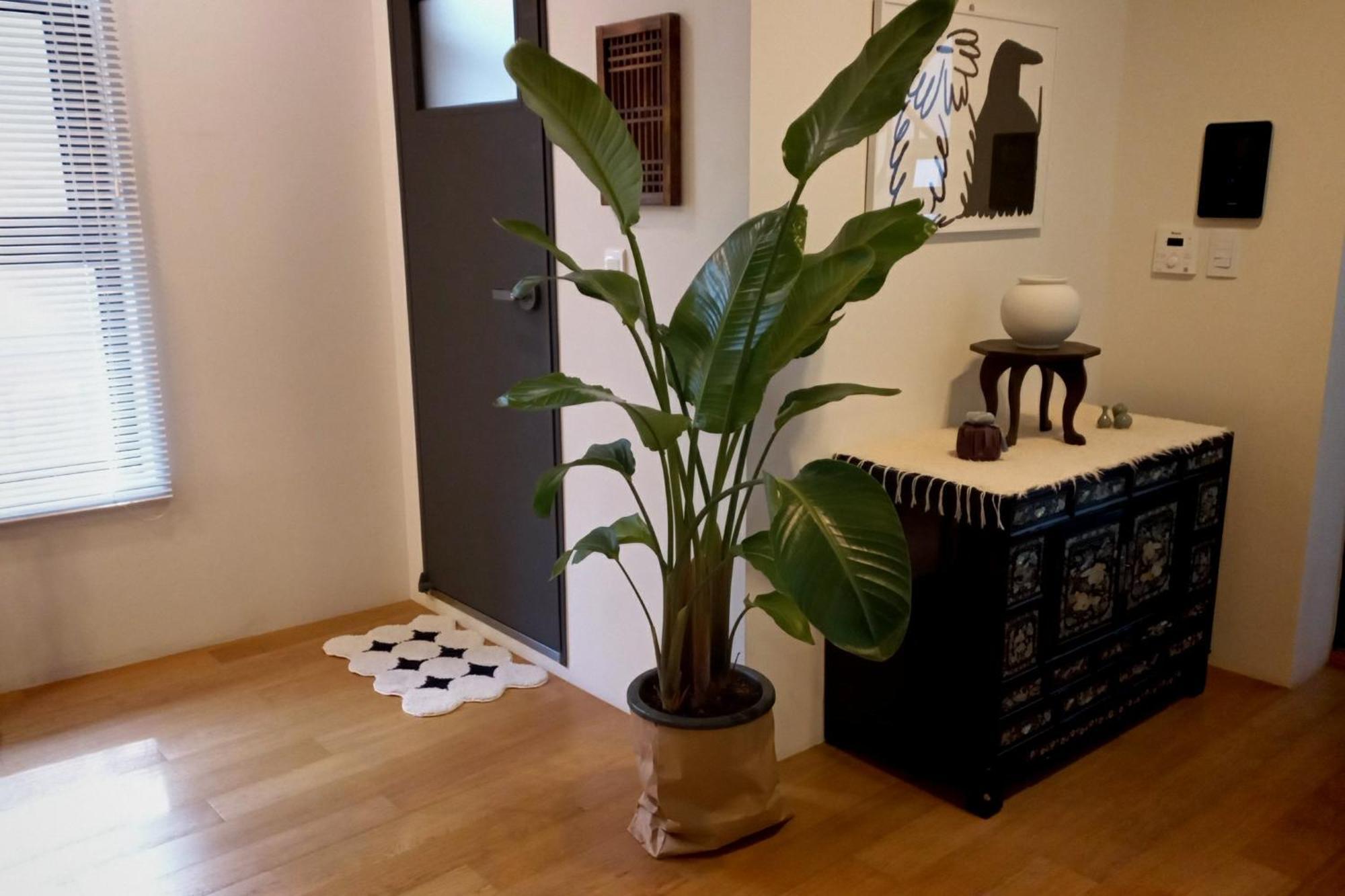 Korean Traditional Terrace House โซล ภายนอก รูปภาพ
